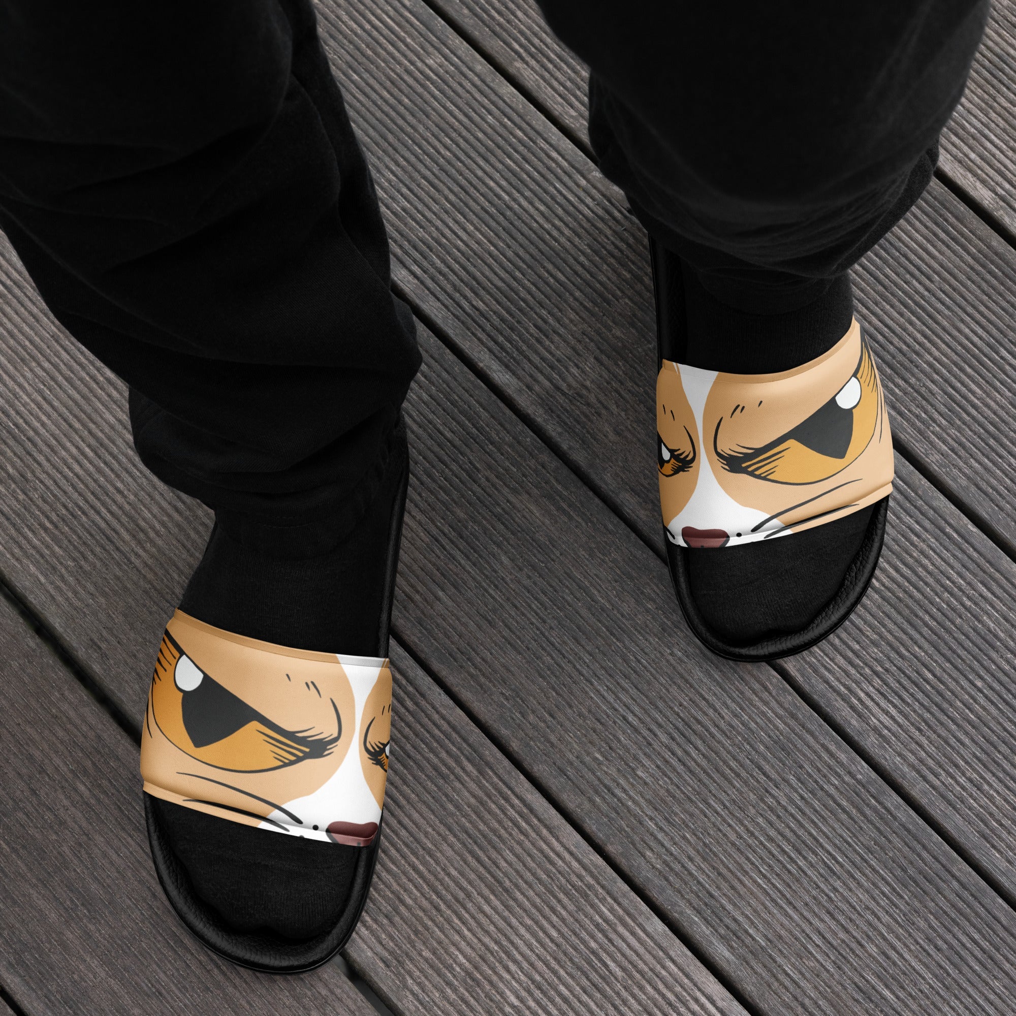 Scary Cat Eyes Slides